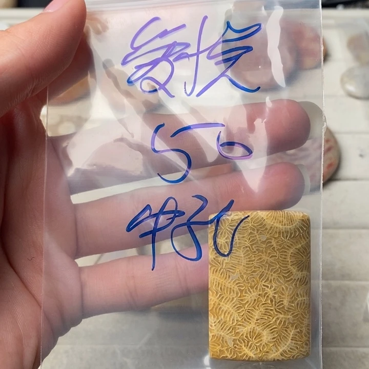 硅化玉颈饰未镶嵌爱***玩