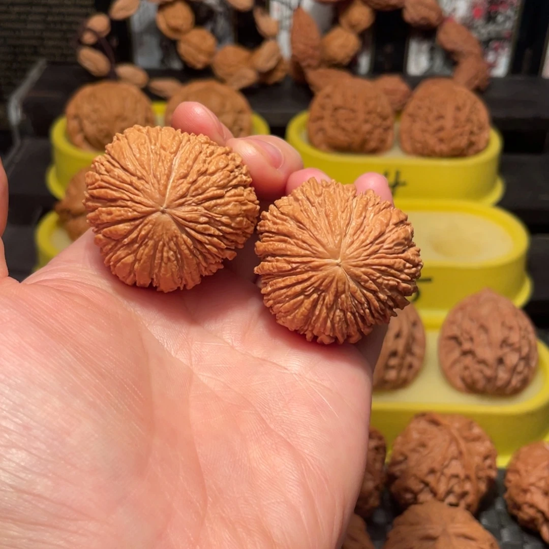 文玩核桃把件38尺金丝猴头三愣核桃