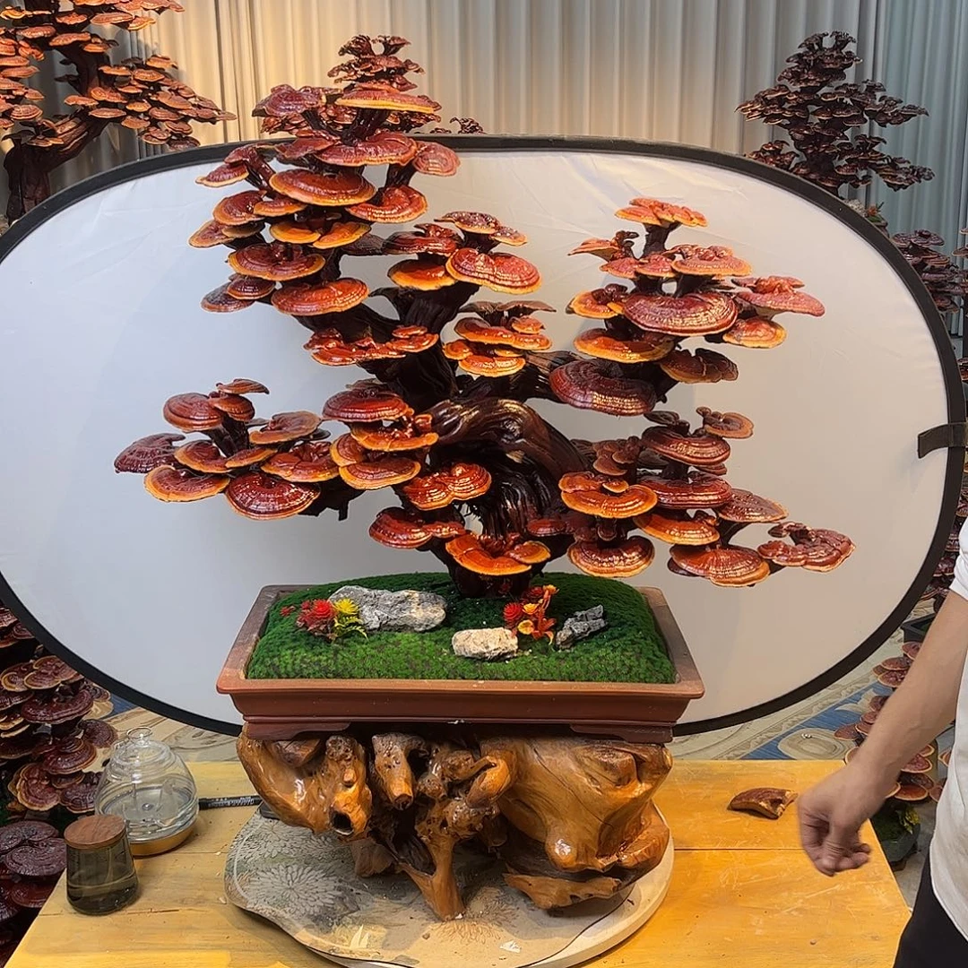 无花朵88888888888