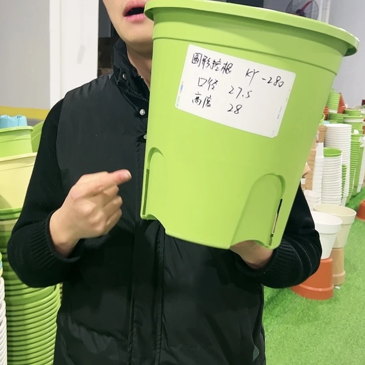 正品圆控口27.5高28果绿色5只无托