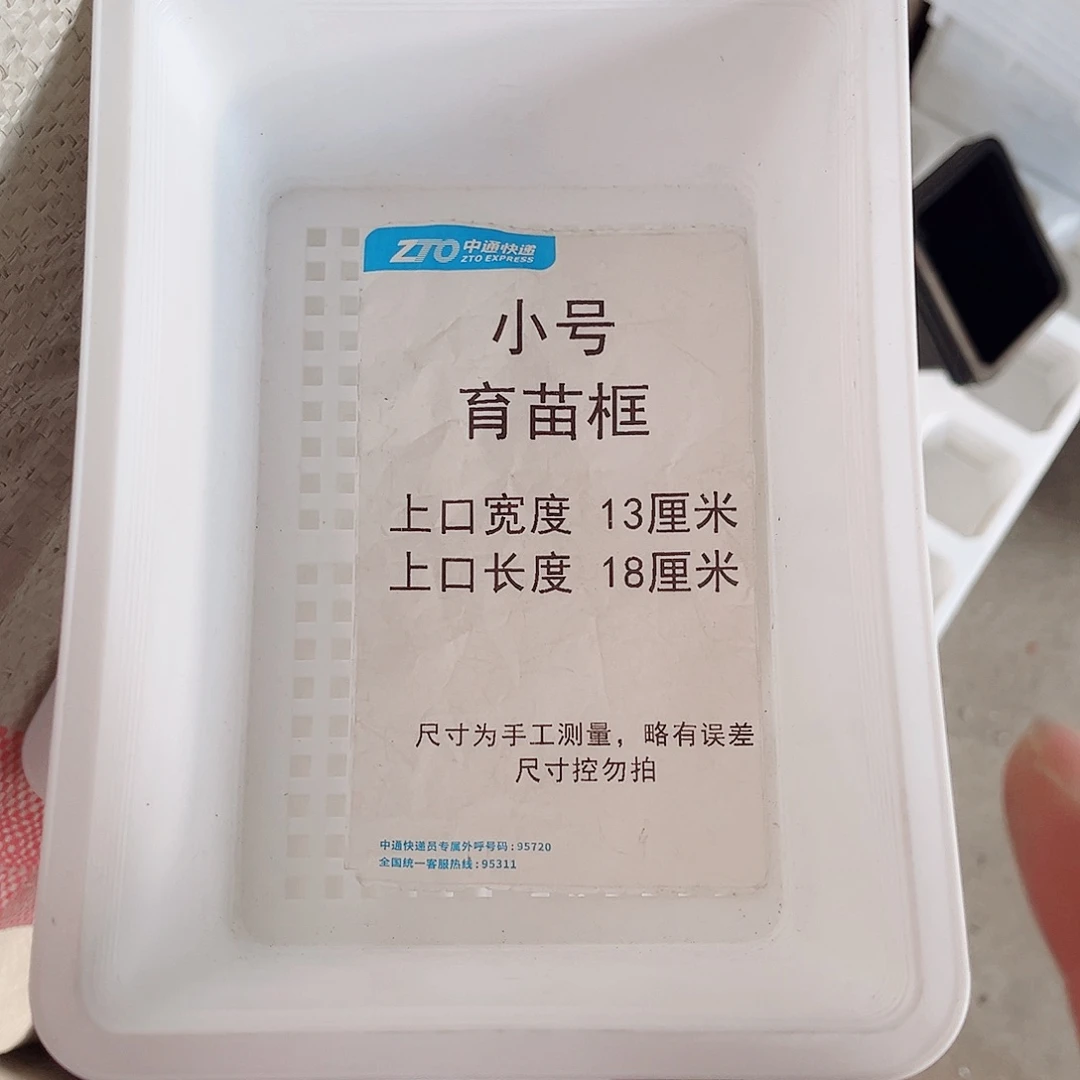 塑料小号育苗框白色10个