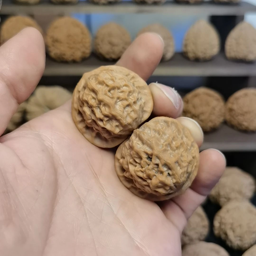 文玩核桃把件35全品货头瓷娃娃