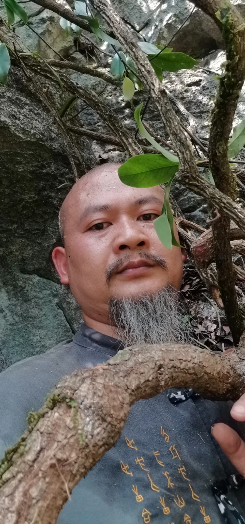 广西石山海风藤干片500克包邮。