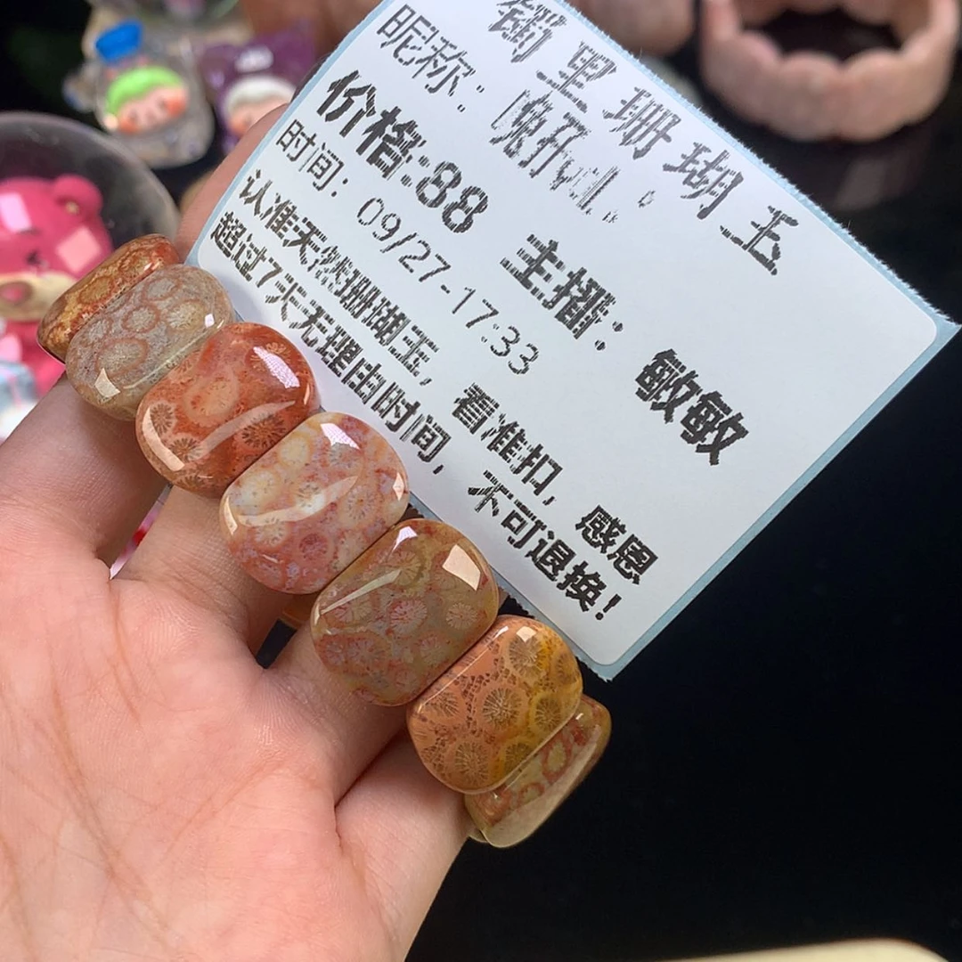 【闪购商品】颈饰未镶嵌硅化珊瑚（珊瑚玉）ᨳ****
