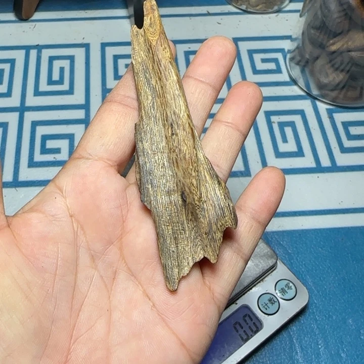 平***僧木质母树绿奇乌身瓜子9克