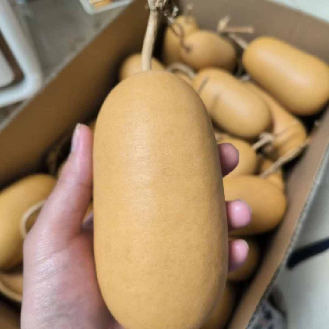 冬瓜葫芦精品纯天然手把件挂件适合烙画摆件墨刻图案手把玩文玩