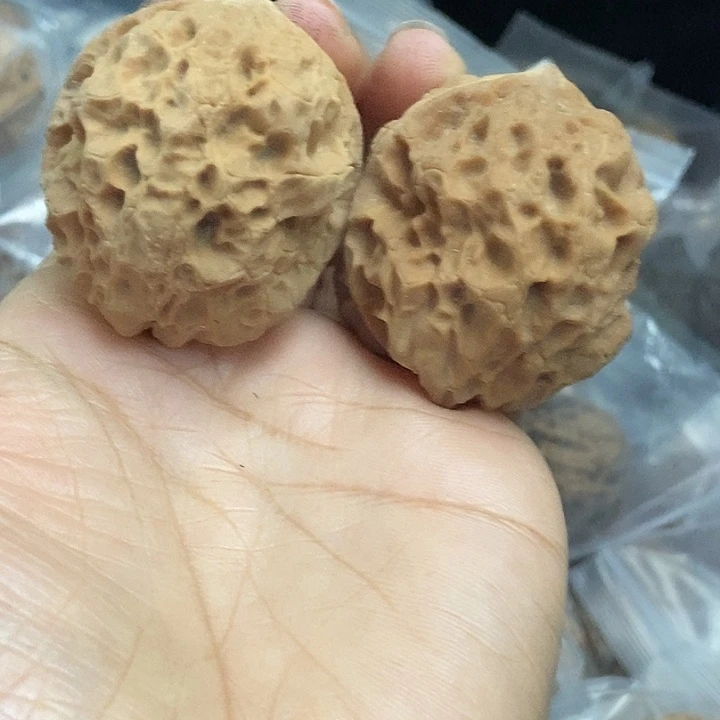 木质类云南铁核桃基地71
