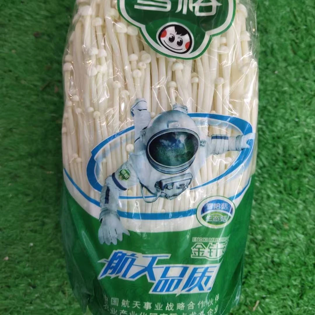 雪榕 中包 金针菇1袋6953150110409