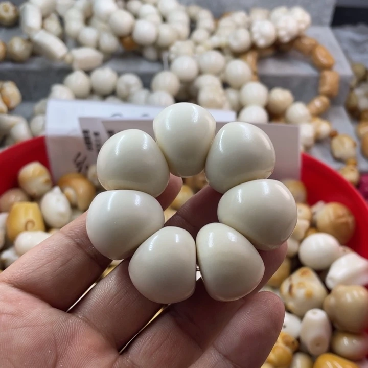 吊坠菩提根/象牙果全品象牙果山竹手捻卡24+