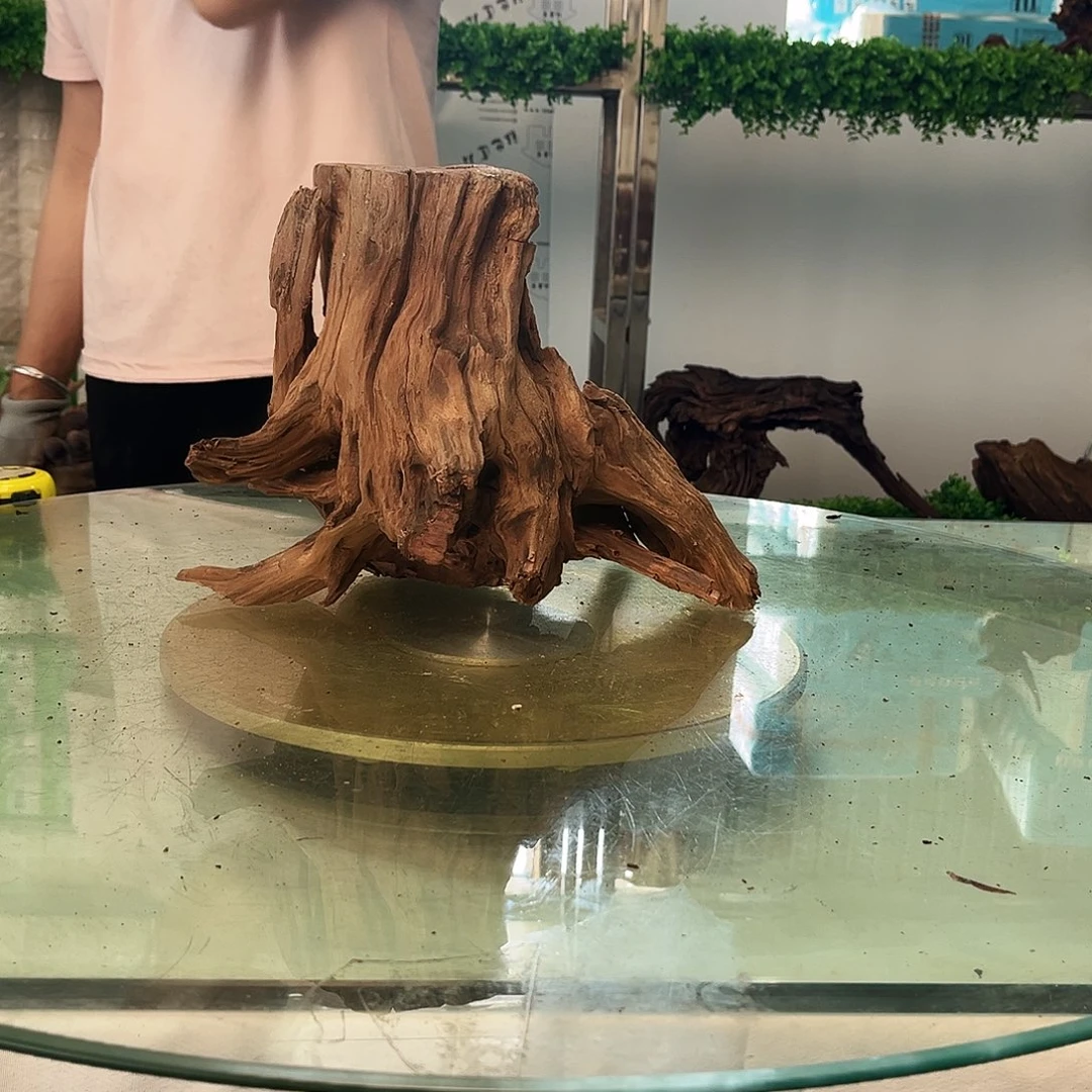 柚木沉木鱼缸造景