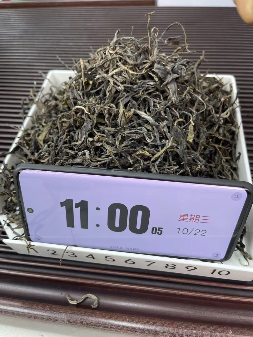 2025年麻黑三家寨国有林古树 春茶  散茶 古树茶  25-10-22  S9