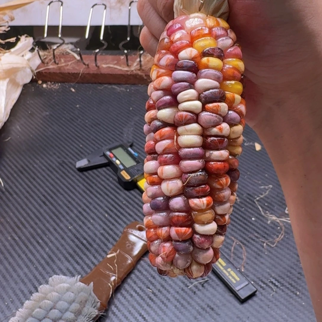 叽***啦柏香籽/百香籽吊坠