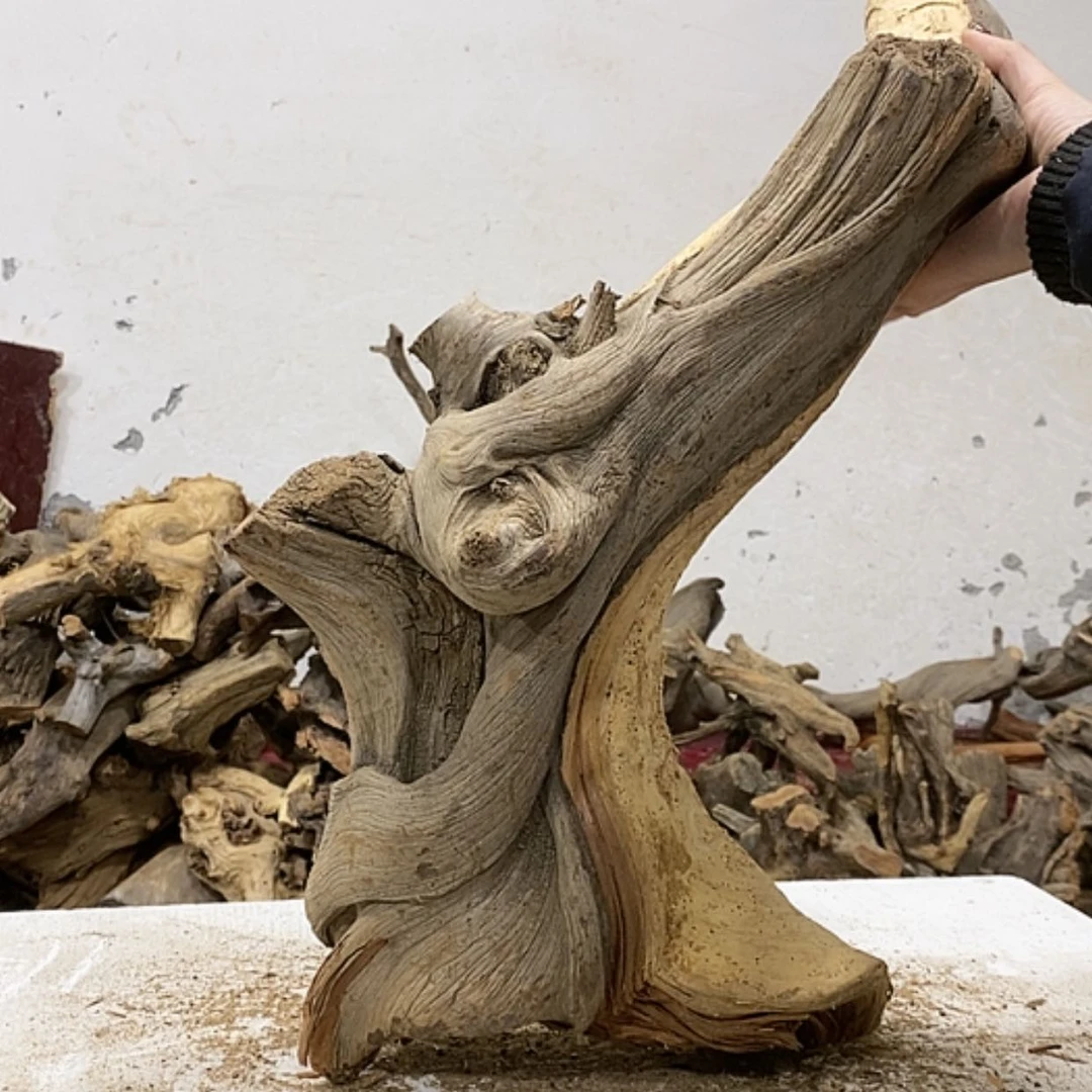 【闪购商品】柏木熟****?我们都是好孩子