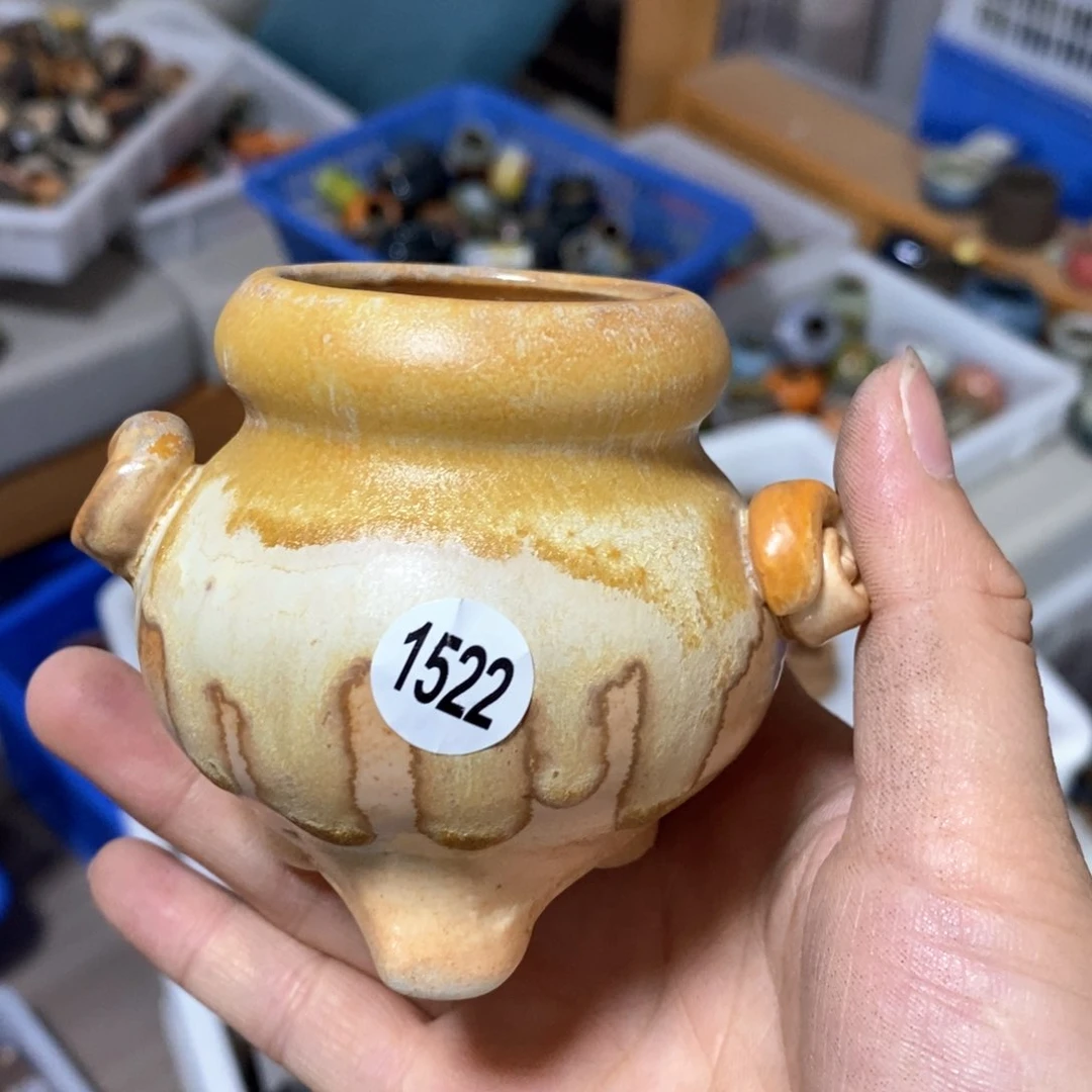 拍5送一个小礼物