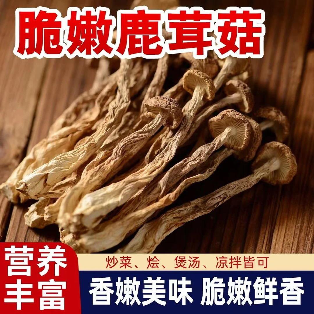深山农家新货鹿茸菇 纯干货 炒菜 炖汤 火锅 农家特产脆脆菇