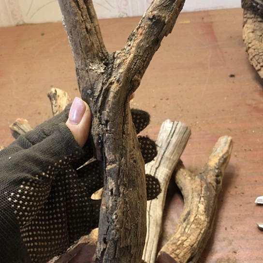 大果紫檀（缅甸花梨）小*