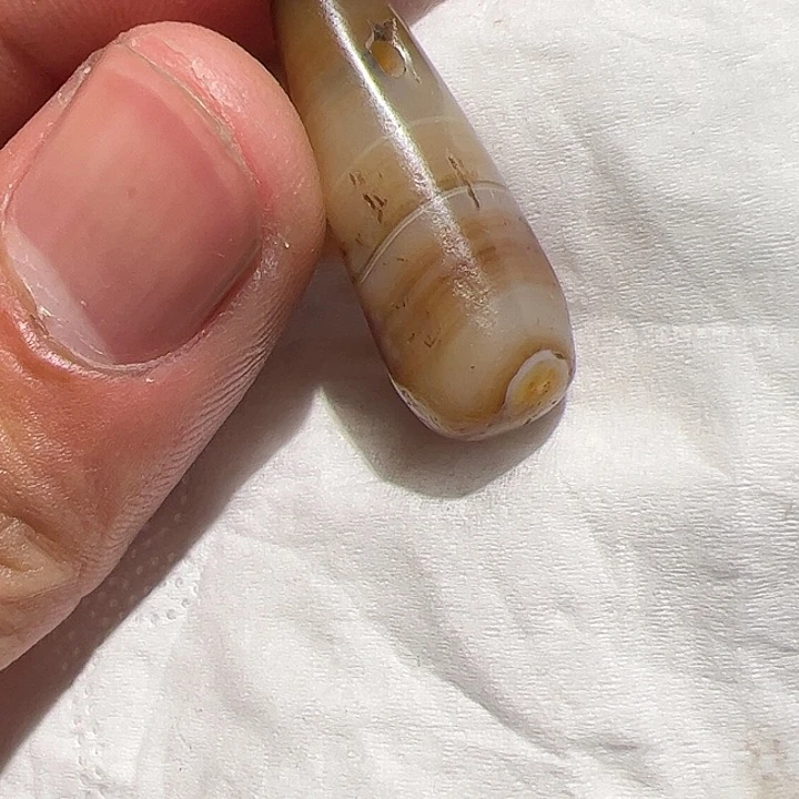 香榧木你的时候我