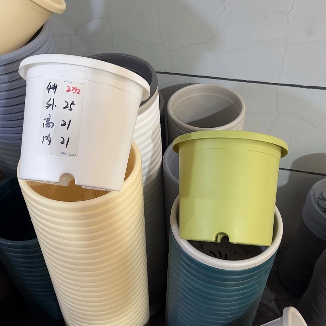 微瑕4号8个无托，果绿