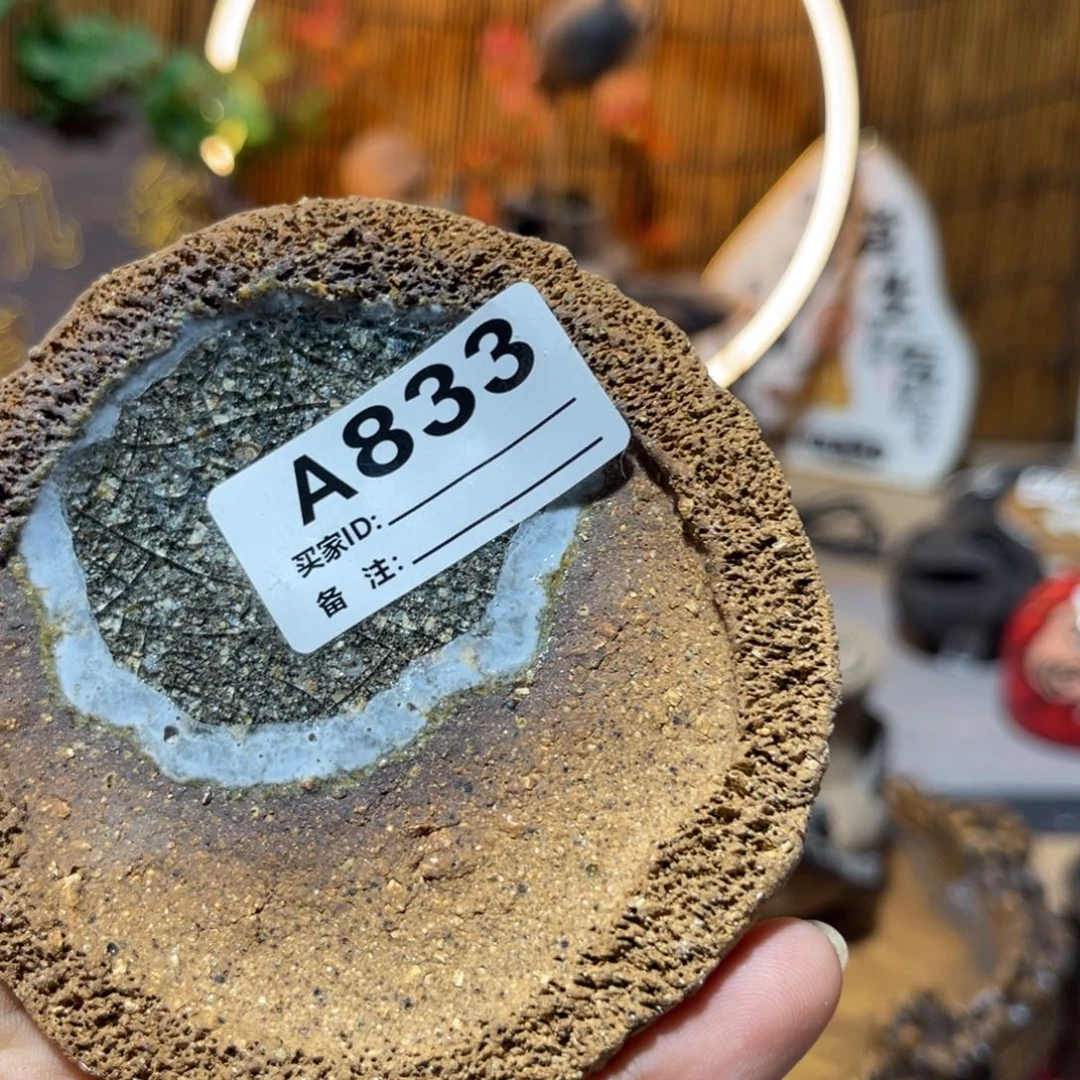 木村信弘柴烧保平