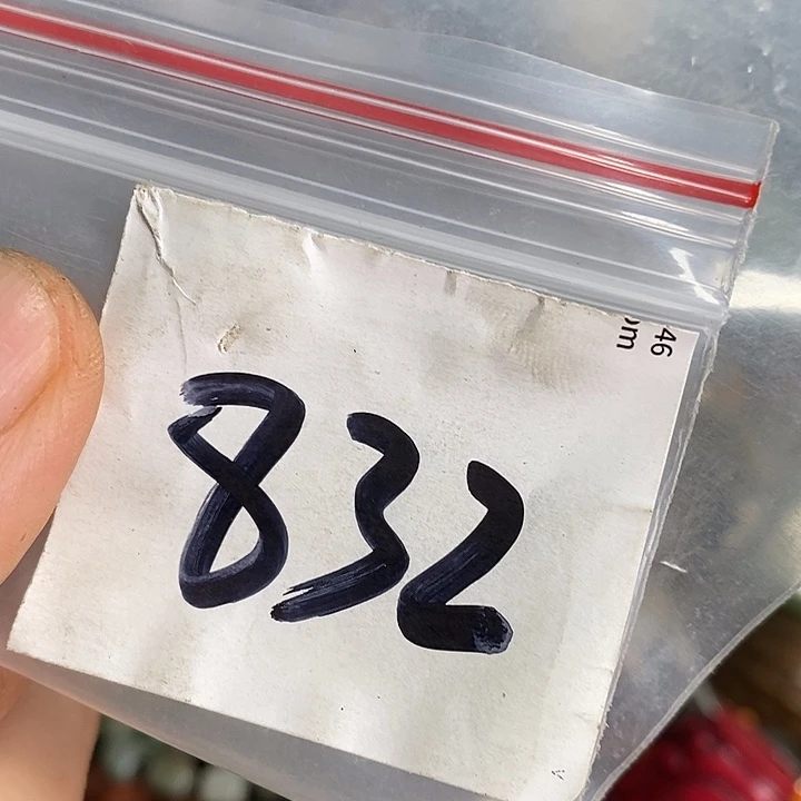 大***坤龙脊菩提吊坠喜乐购专项链接