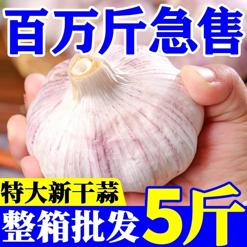 2025农家新晒干蒜大蒜头