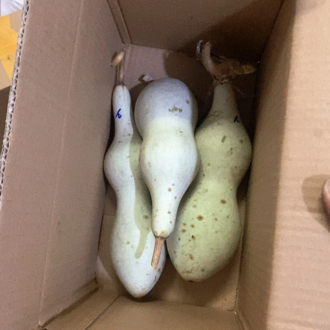@*呀文玩葫芦青皮葫芦