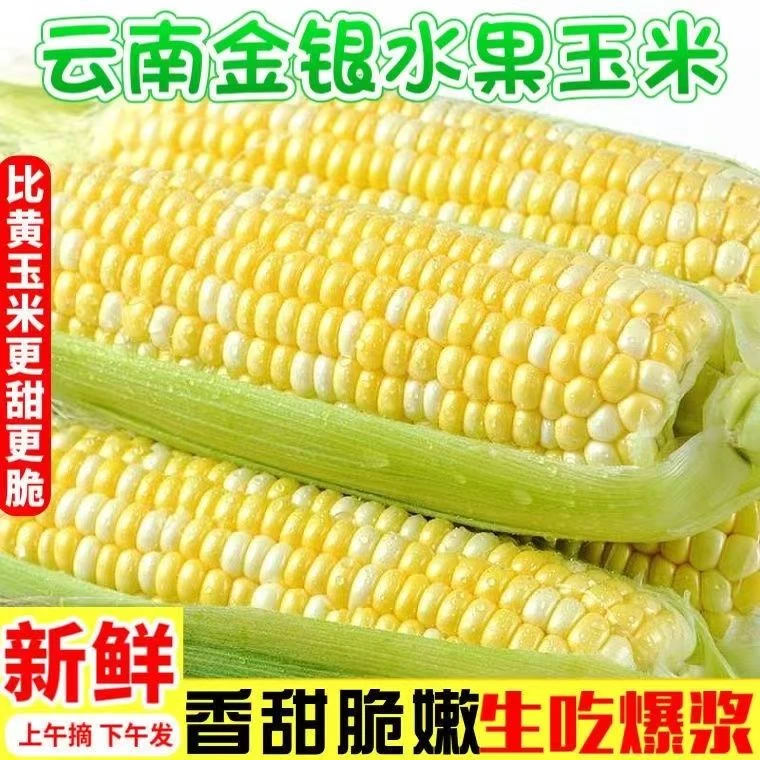 新鲜农家蔬菜甜脆水果玉米爆浆巨甜蔬菜水果玉米带壳免煮包邮