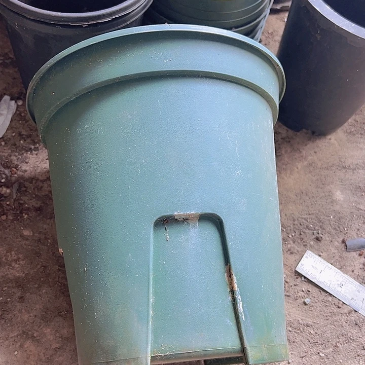 加仑盆口径23.5高24发5个