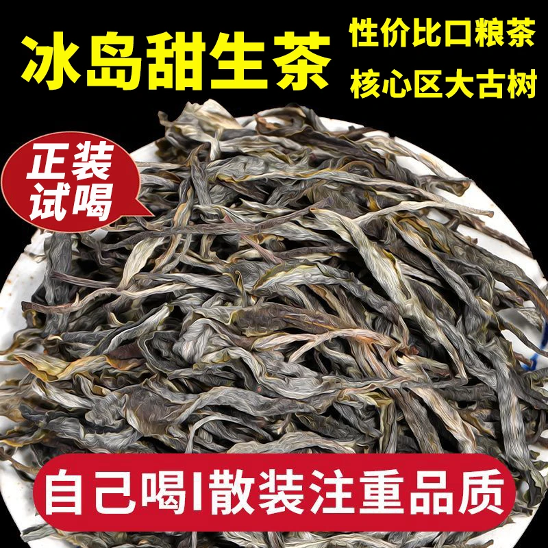冰岛甜普洱茶生茶新茶云南临沧古树散茶口粮茶早春生普茶叶自己喝