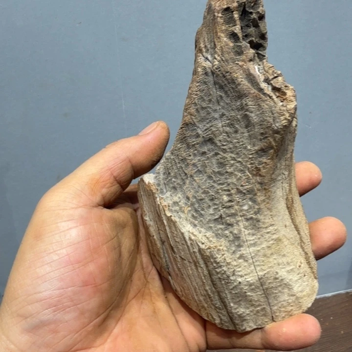 柏木大**简下飞机斤斤计较