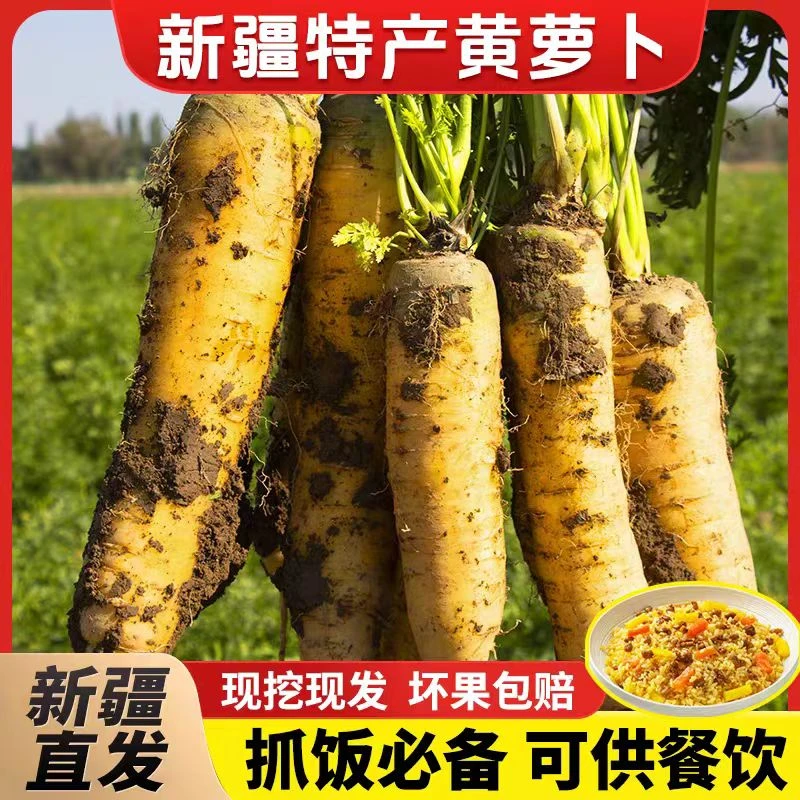 【新疆直发】2025年黄萝卜蔬菜农家自种带泥黄心萝卜手抓饭专用包邮