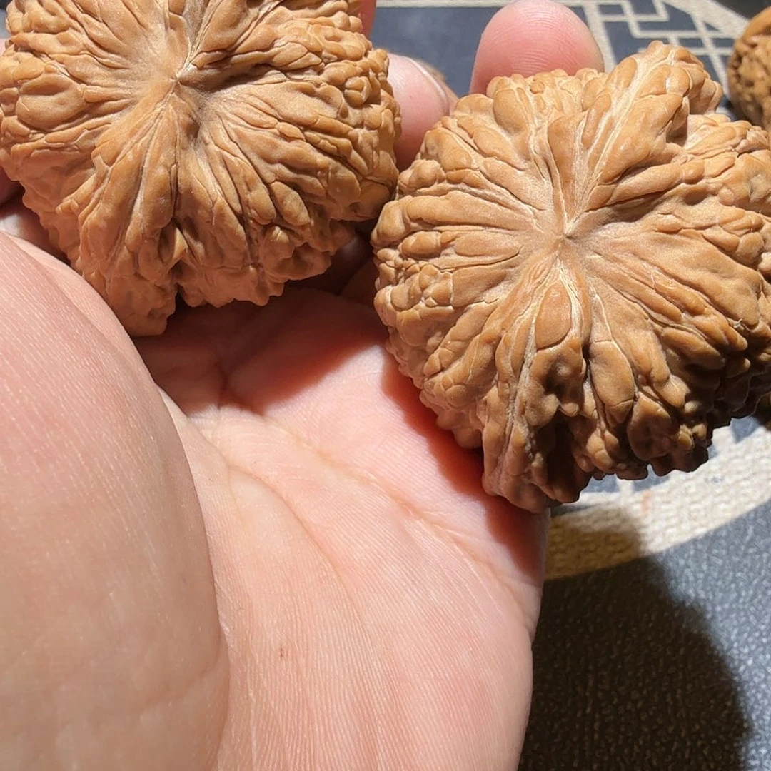 文玩核桃把件我***桃华坤龙