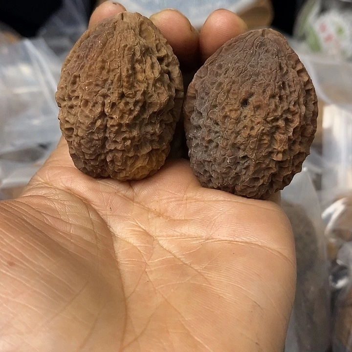 核桃云南铁核桃基地62