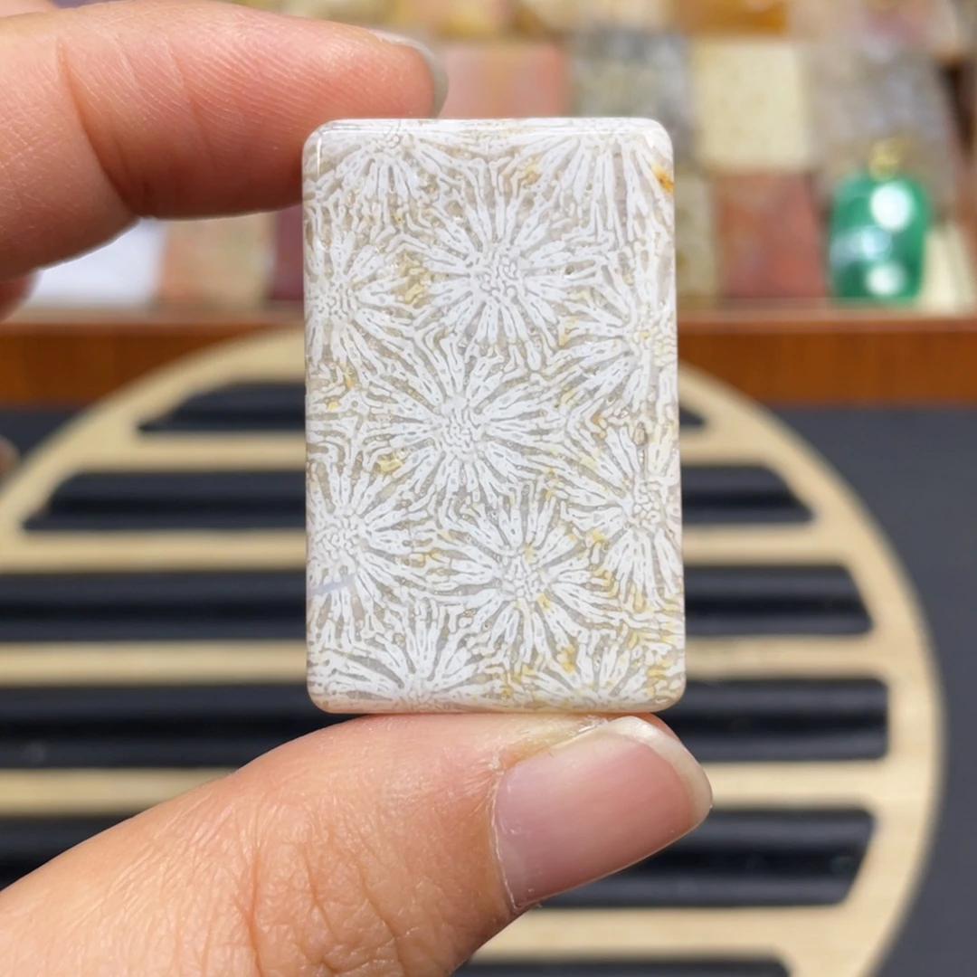 硅化玉未镶嵌颈饰k7