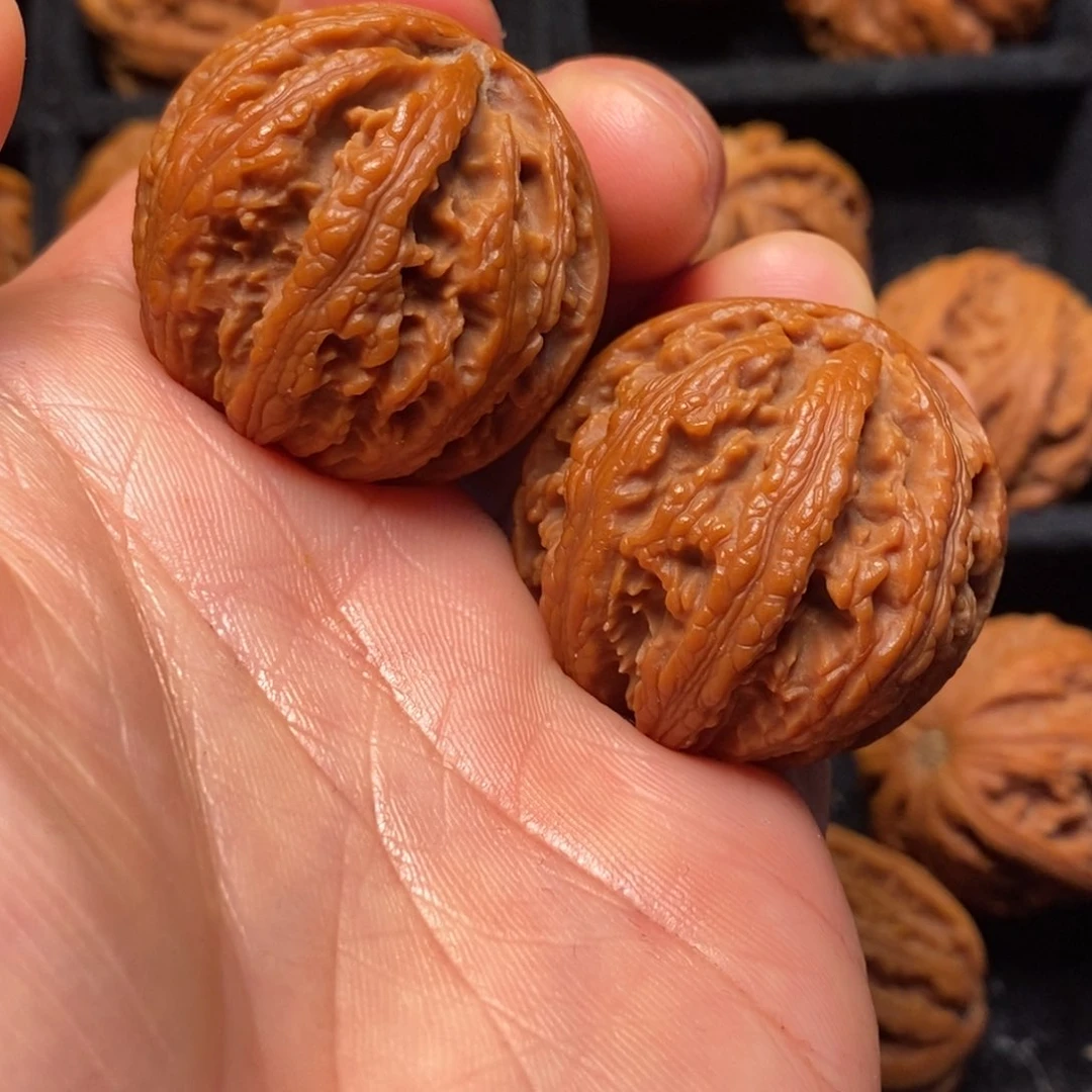 文玩核桃把件秦岭野生动物园