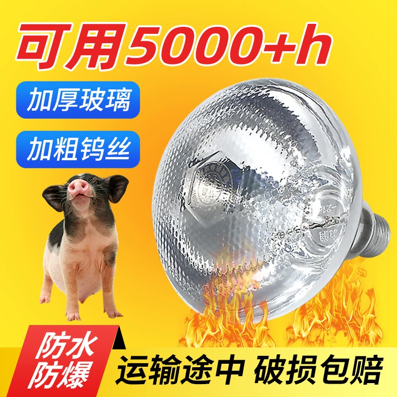 猪场防爆保温灯养殖专用取暖灯一秒速热养殖场取暖灯