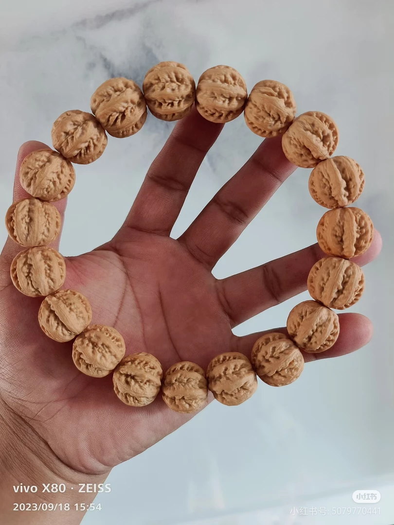 2.1野生粗筋京八棱小核桃