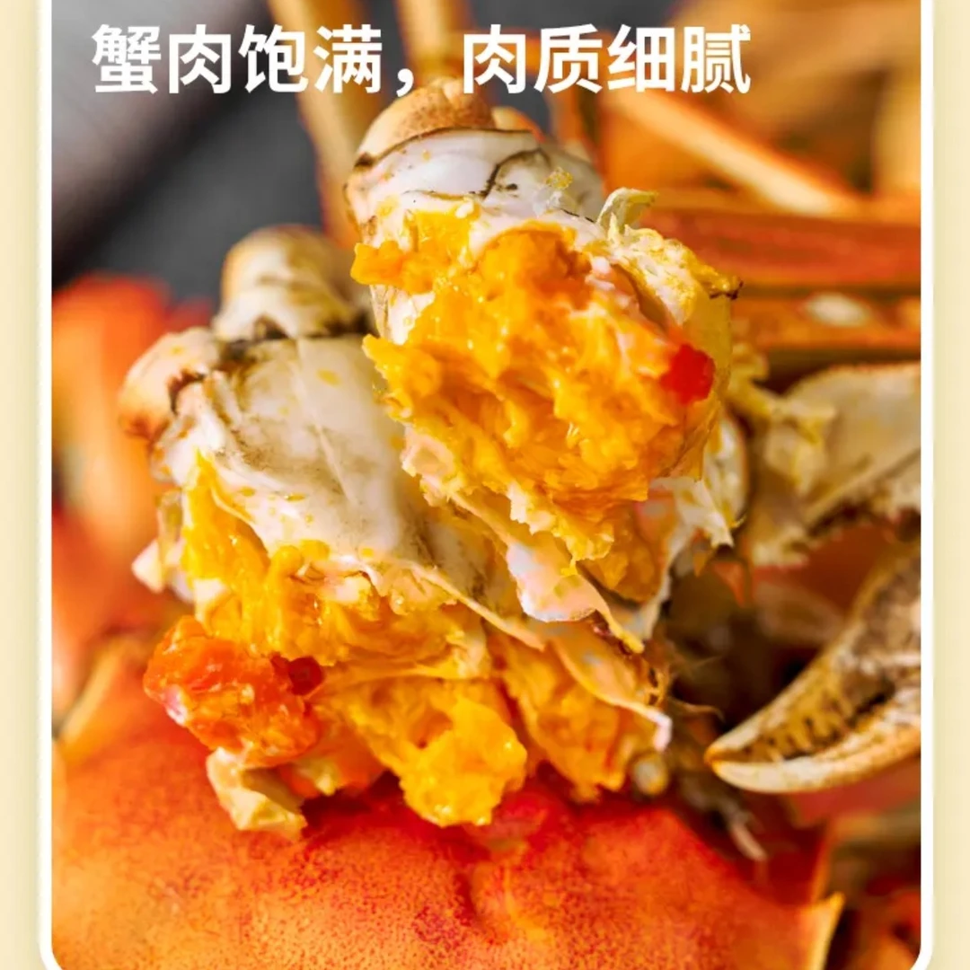 盘锦河蟹，1-0.8两全母蟹，34只左右，顺丰京东空运包邮