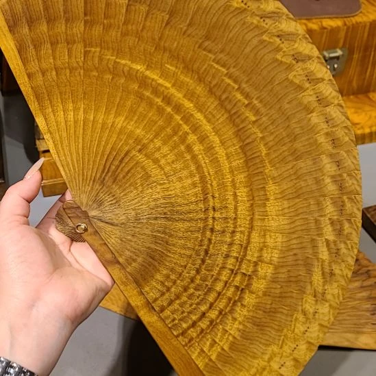 金丝楠24小叶桢楠金丝楠木苏扇