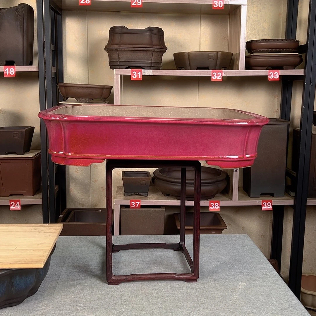 …***…2468558599888885