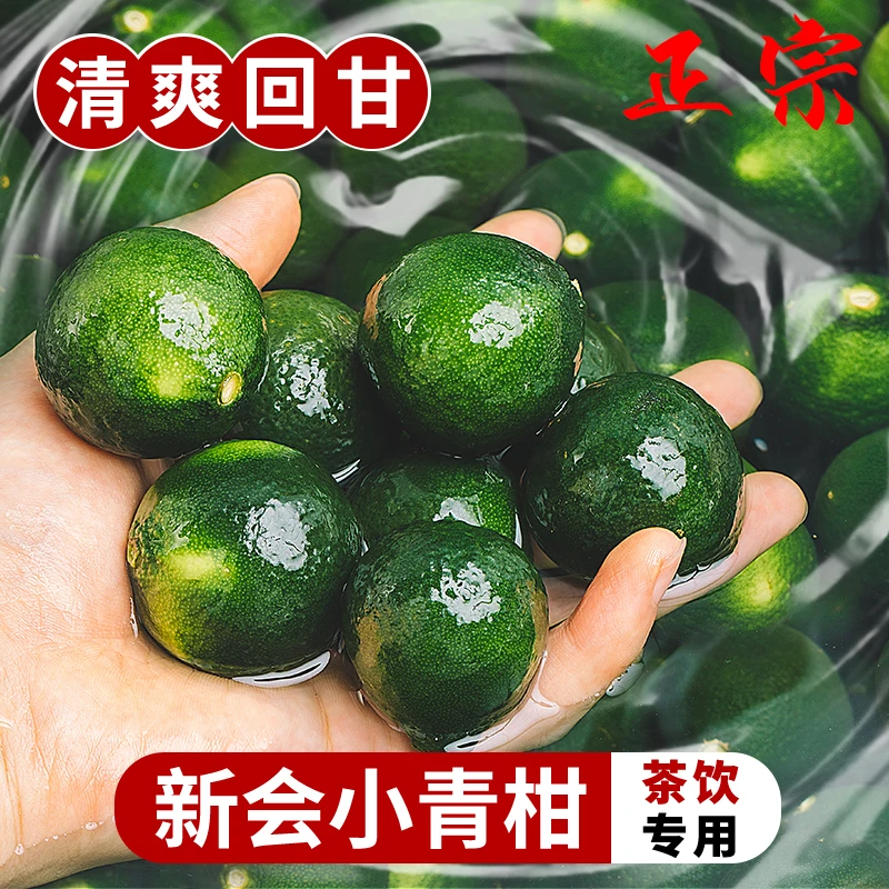 正宗新会小青柑新鲜当季水果酸爽多汁金桔柠檬茶奶茶店榨汁冲水