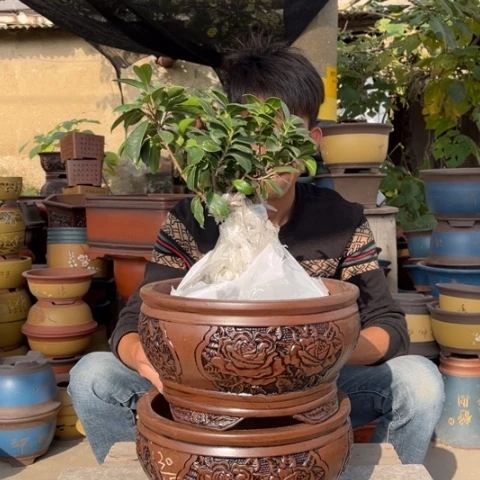 紫砂花盆特价包邮送盒