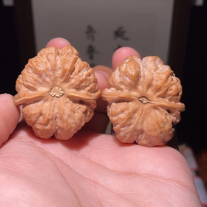 达***妞核桃手串/手链蛤蟆头