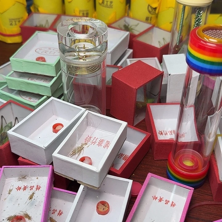 用***2蟋蟀2条中黄。