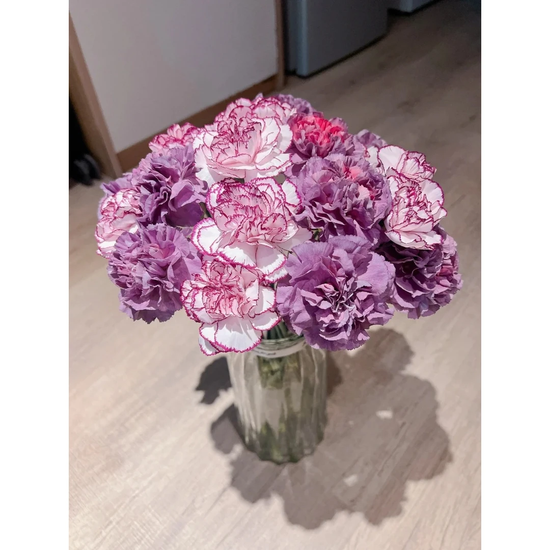 源头优选野马紫精灵一单圆通任意两单顺丰京东发货后不支持退款