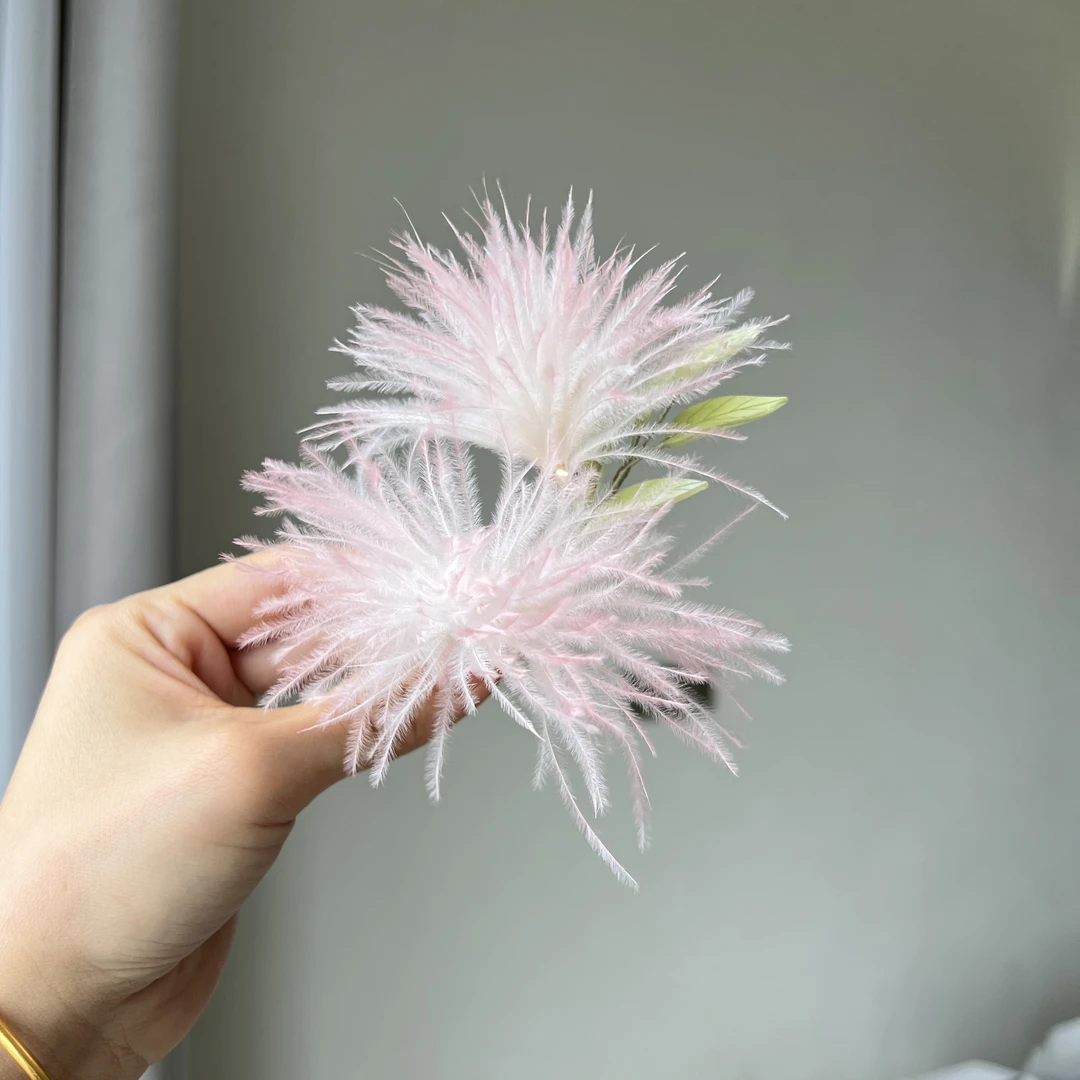 合欢花，主体自选