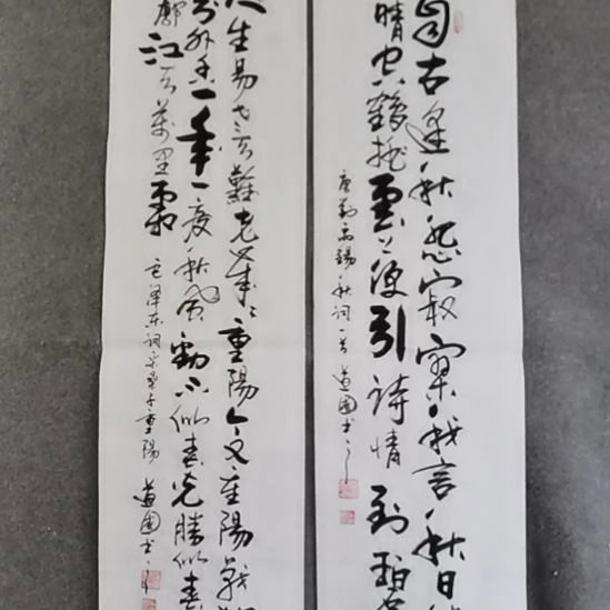 南***落书法书书屋书法作品