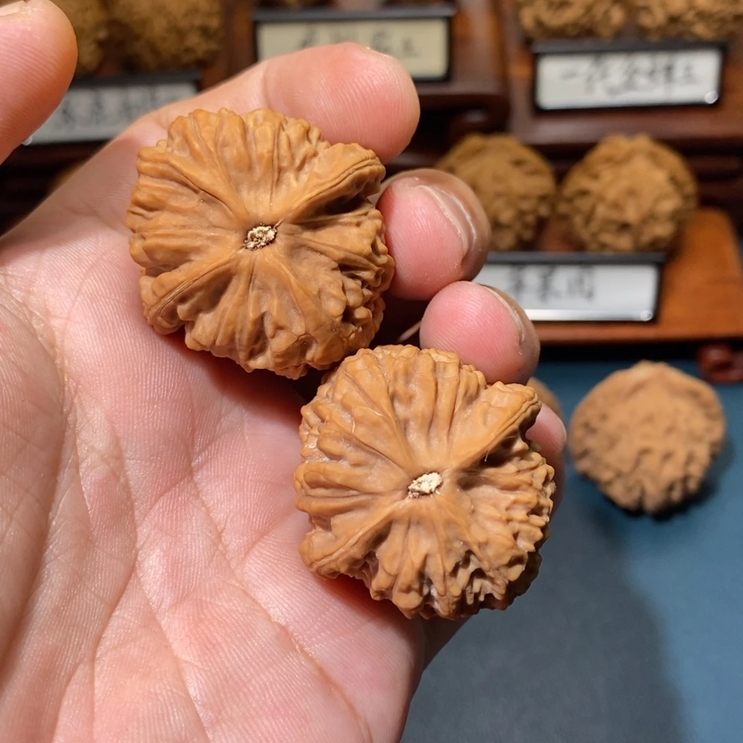 蕾***蕾吊坠文玩核桃核桃