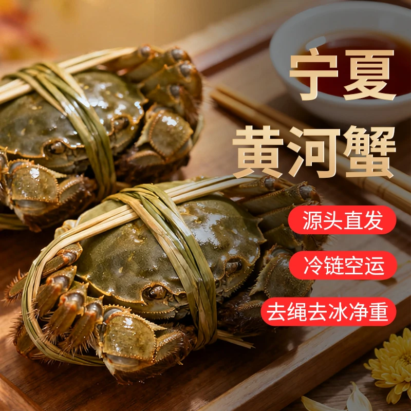 森淼湖出品 宁夏黄河蟹 全母蟹(2--3两）（8--10只）