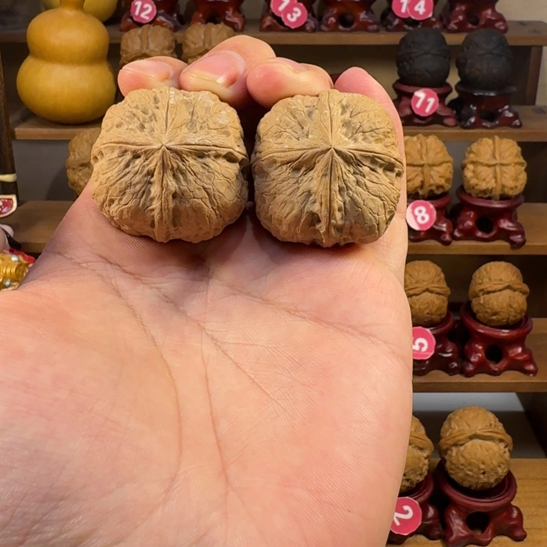 达***蒙核桃铁核桃把件龙龟甲炸四